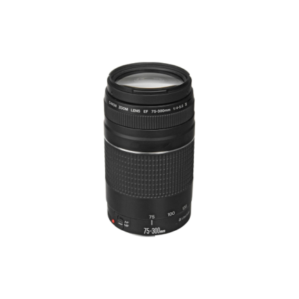 Canon EF 75-300mm f4-5.6 III Lens (Black)