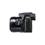 Panasonic Lumix DMC-FZ300 (Black)